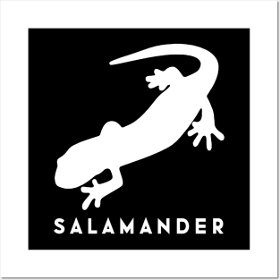 Salamander Posters and Art